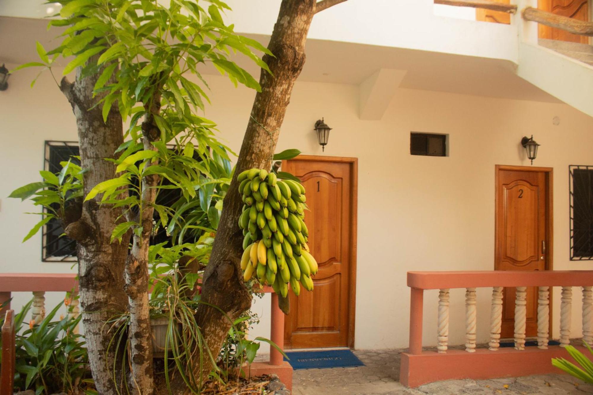 Casa De Nelly Hotell Puerto Baquerizo Moreno Eksteriør bilde